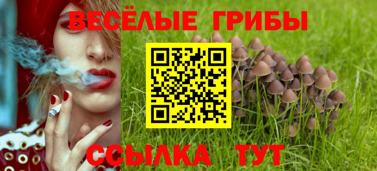 Псилоцибиновые грибы Psilocybine cubensis  Вход с VPN  Псилоцибиновые грибы MAGIC MUSHROOMS  Мценск 